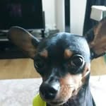 taeun kim - @zudd1 - Instagram