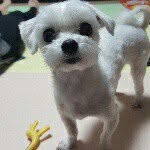 Dave Taewon Ahn - @dave_taewon_ahn - Instagram