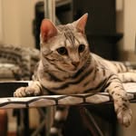 Taewon Ahn - @ahn.taewon - Instagram