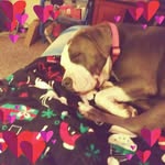 Taffy Davidson - @taffy.davidson.355 - Instagram