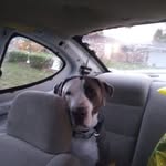 Taffy Davidson - @taffy.davidson.351 - Instagram