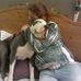 Taffy Davidson - Facebook