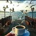 تغريد سلمان - Facebook