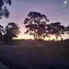 Tahliah Gray - @tahliah.gray1 - TikTok
