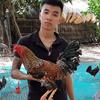 Tai Sung68 - @taisung68 - TikTok