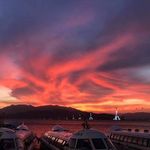Tai Vu - @taivu1977 - Instagram
