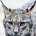 Tai-Yu Chen - @taiyu.chen.718 - Instagram