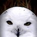 TaiYu Chen - Facebook