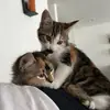 Taybey - @tajabey - TikTok