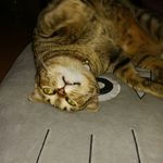 A.S - @takarabunewalker - Instagram