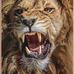 Takia Thomas - Facebook