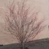 takishacarter983 - @takishacarter983 - TikTok