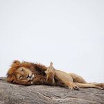 @abootaleb.hamrahi - Instagram