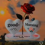 @_tallavi - Instagram