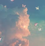 Tala Faour - Facebook