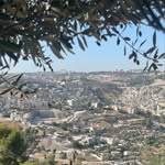تالا - @tala.odeh_ - Instagram