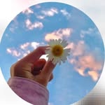 tala odeh - @tala_odeh7 - Instagram