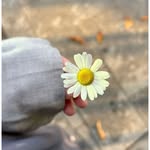 Tala - @tala_odeh07 - Instagram