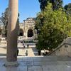 talaodeh - @tala.odehh - TikTok