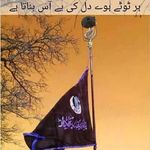 Talat Malik - @talatmalik46 - Instagram