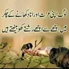 Talat Syed - @talat.syed7 - TikTok