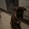 tali - @talia.beckwith - TikTok