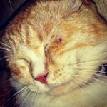 Talitha Azka f - @talithaazkaf - Instagram