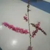 Taliha Eker - @talihaeker - TikTok