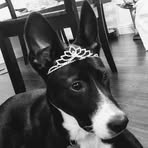 Talitha Graham - Facebook