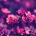 Talitha Harris - Facebook