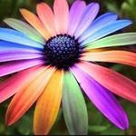 Talitha Jones - @jonestalitha124578 - Instagram