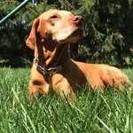 Talitha León - @tali_the_dawg - Instagram