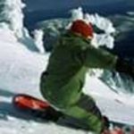 Talitha Nelson - @talitha.nelson.74 - Instagram