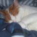 Tabatha Nowakowski - Facebook