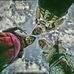 Talitha Bhaee West - Facebook