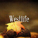 Westlife the story of my life - @talitha_westlifer - Instagram