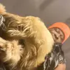 🦍🦍Talltee🦍🦍 - @talltee_ige - TikTok