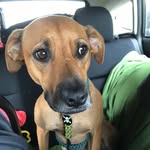 tallulah lyons - @tallulahmakana - Instagram