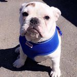 Tallulah Smith - @tallulah2007 - Instagram