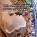 Talon Brown - Facebook