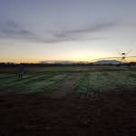 Tam Johnson - @exploreafricasagriculture - Instagram