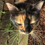 Tam Johnson - @tam.johnson.359 - Instagram