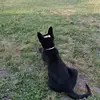 Tam - @tam.johnson.proud - TikTok