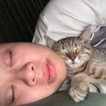 @tam__phung - Instagram