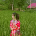 Tâm Phùng - Facebook
