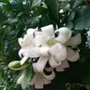 Tam Phung - @tamphung19 - TikTok