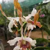 Tam Phung - @30660464233 - TikTok