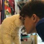 Tam Quach - @tam.quach.35325 - Instagram