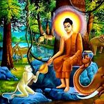 ชีวิตธรรมดา - @tam.ma.suk.jai - Instagram