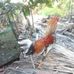 Tam Su Buon Nguyen - Facebook